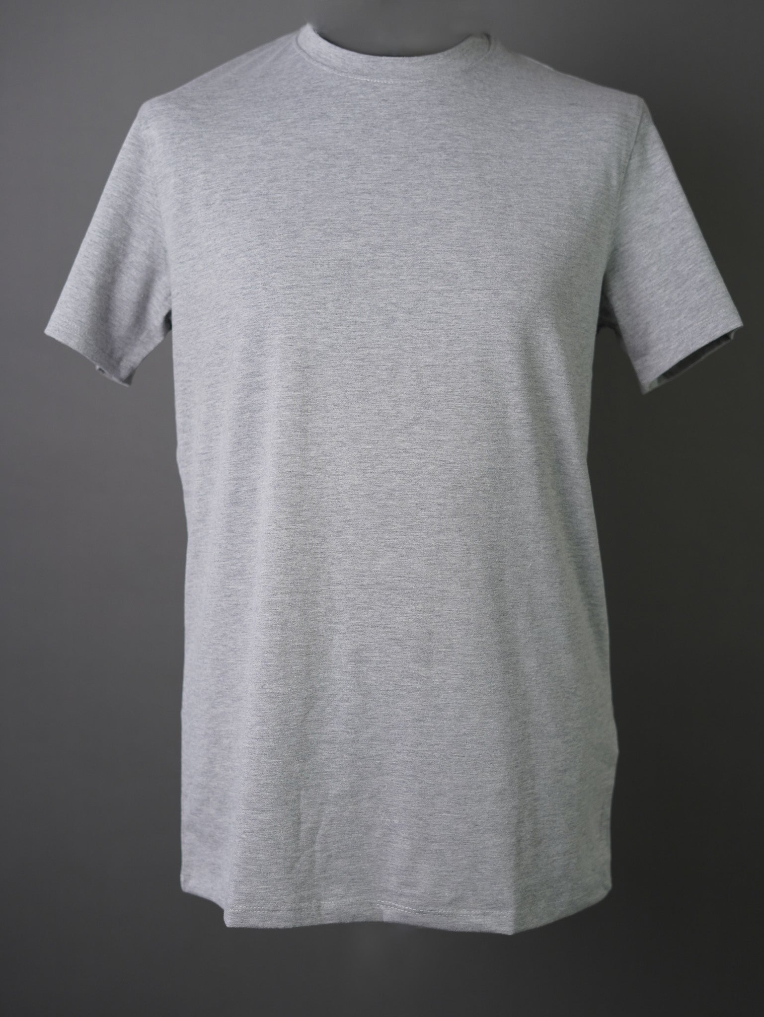 BASIC T-SHIRT - gray